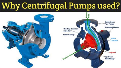 centrifugal pump suction lift|why centrifugal pump is used.